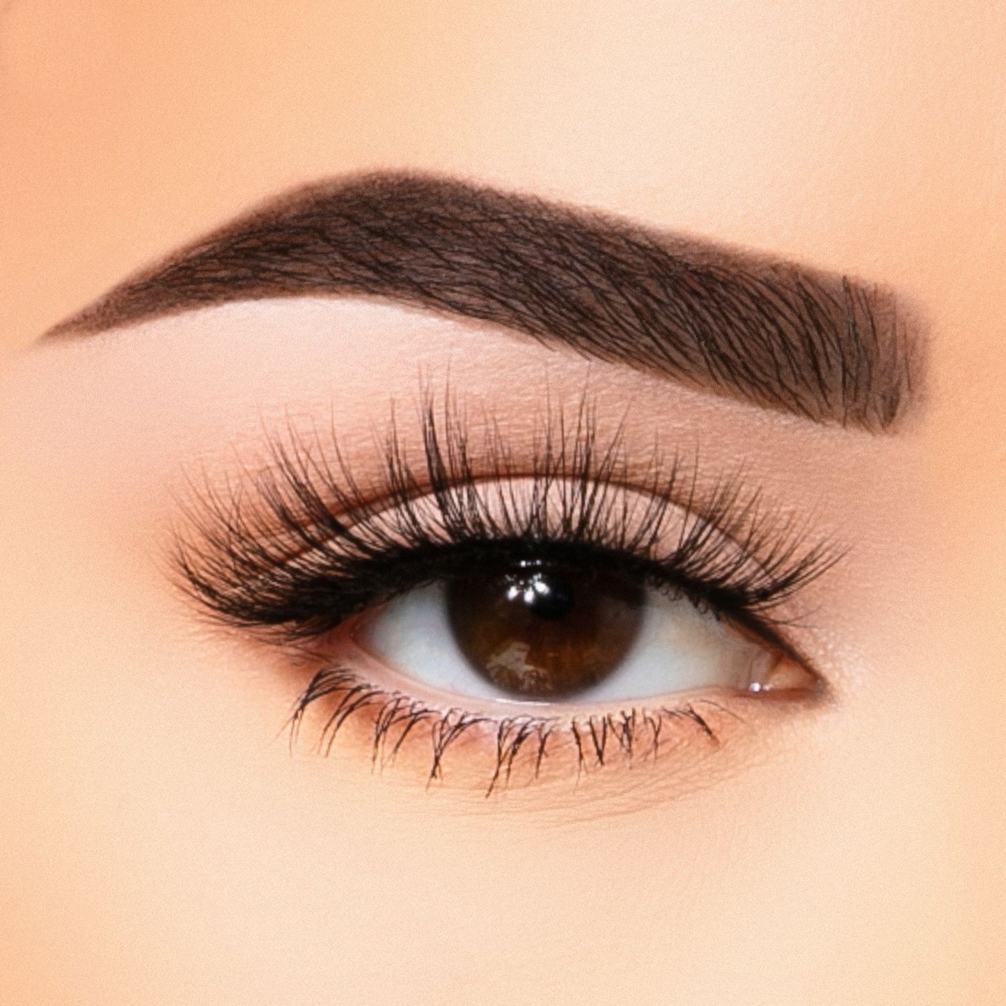 3D Faux Mink Lashes