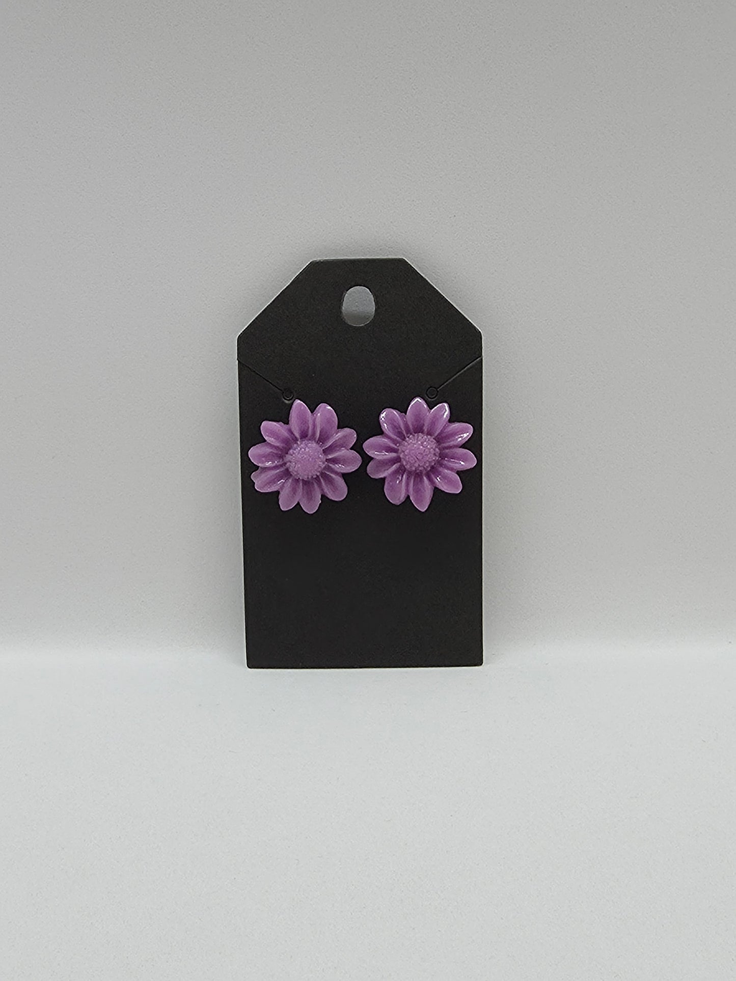 PUSAB Small Earrings