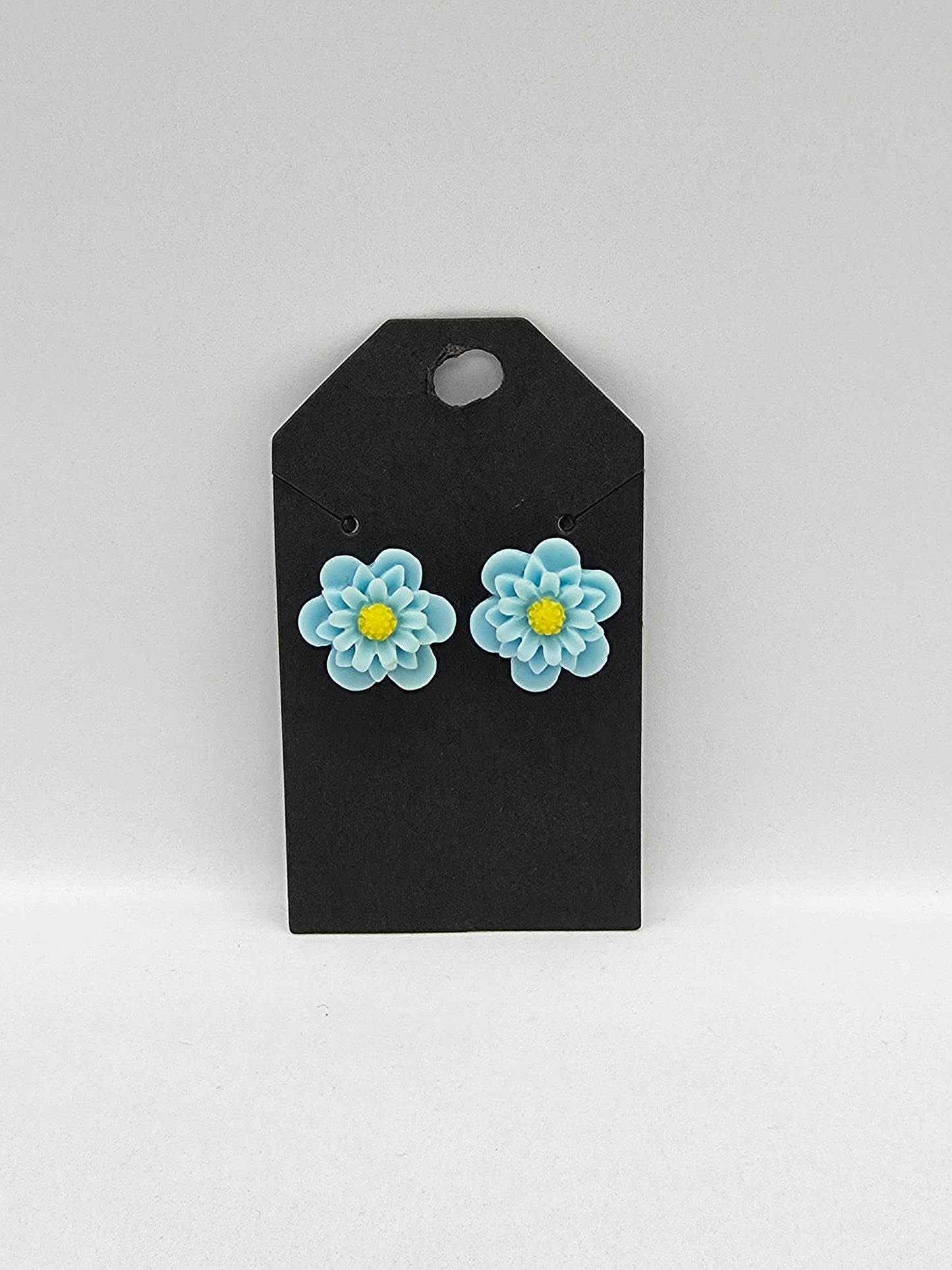 PUSAB Small Earrings