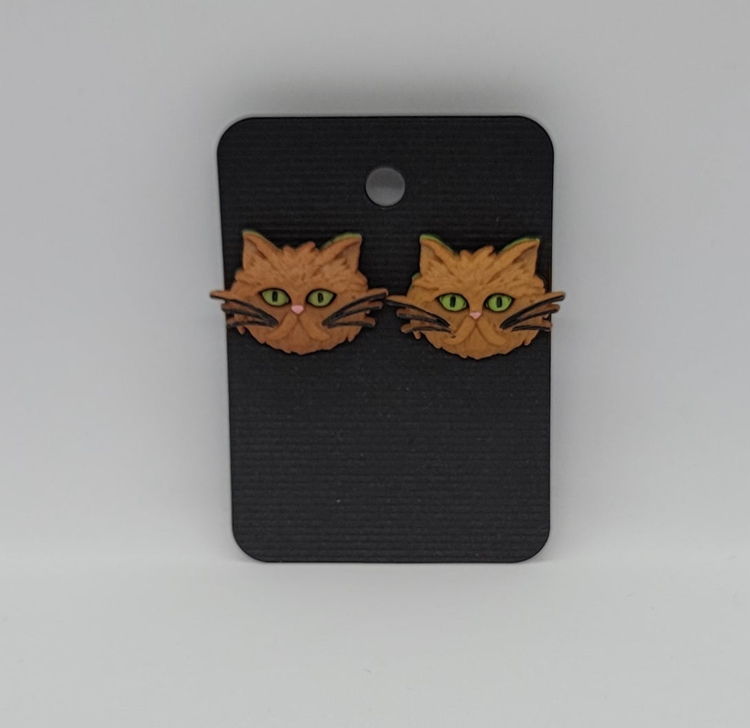 PUSAB Large Earrings