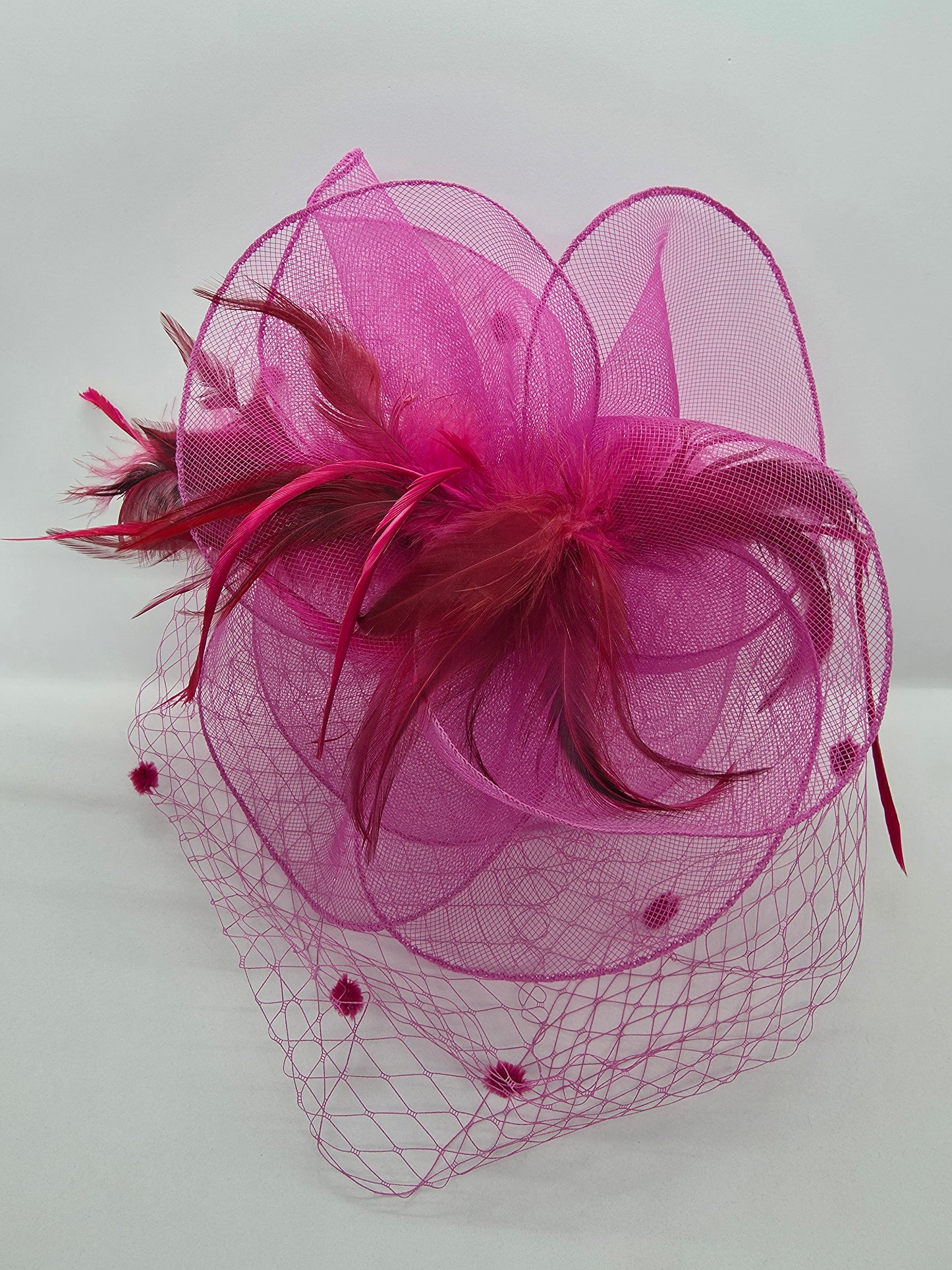 Feather Mesh Net Fascinator