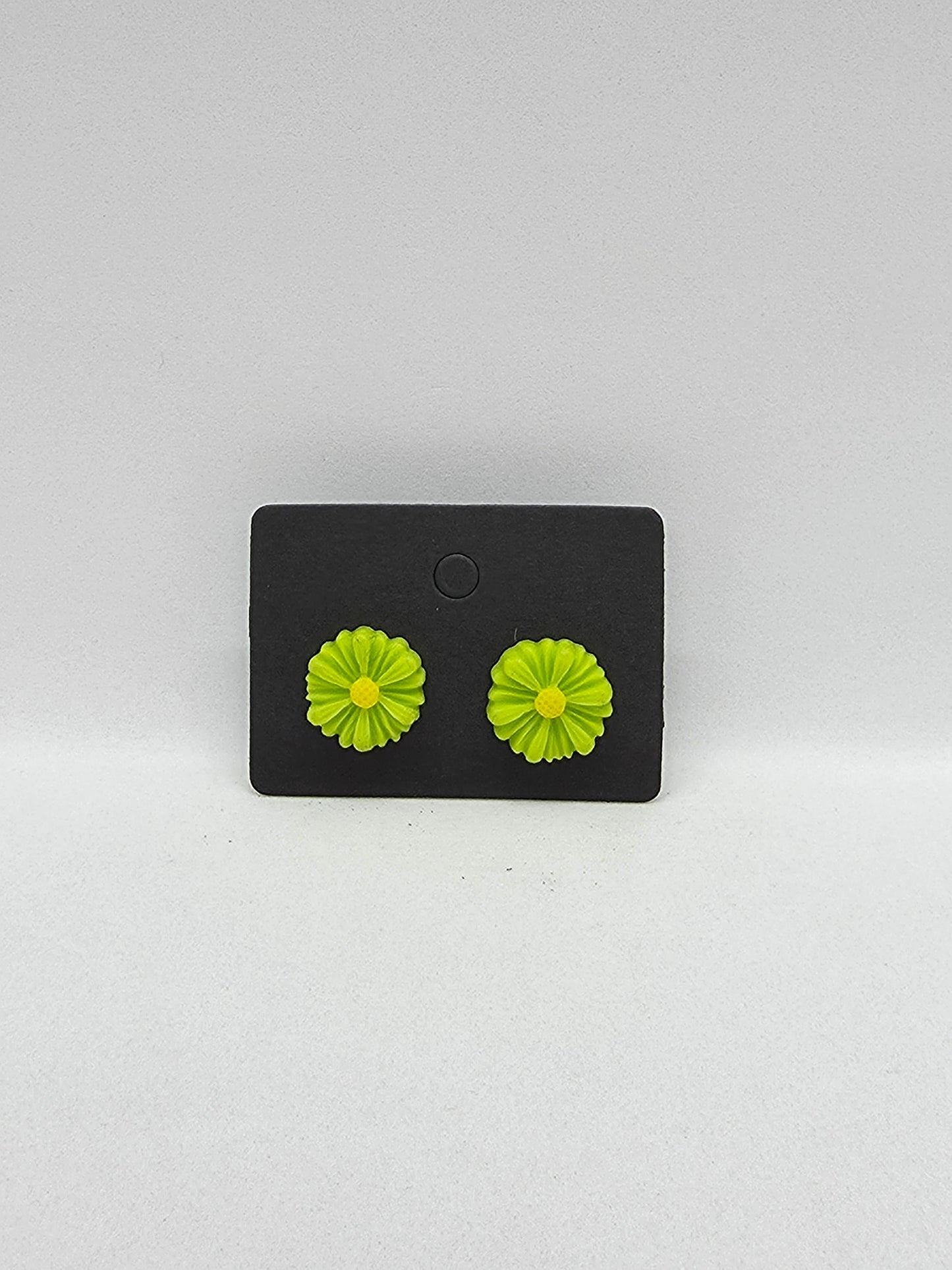 PUSAB Small Earrings