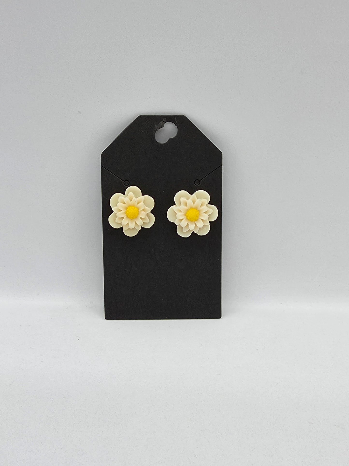PUSAB Small Earrings