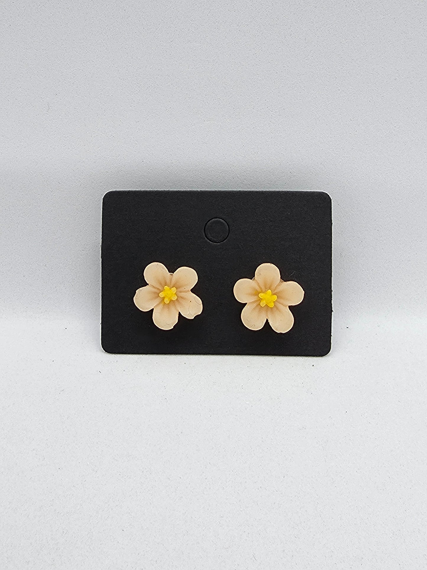 PUSAB Small Earrings