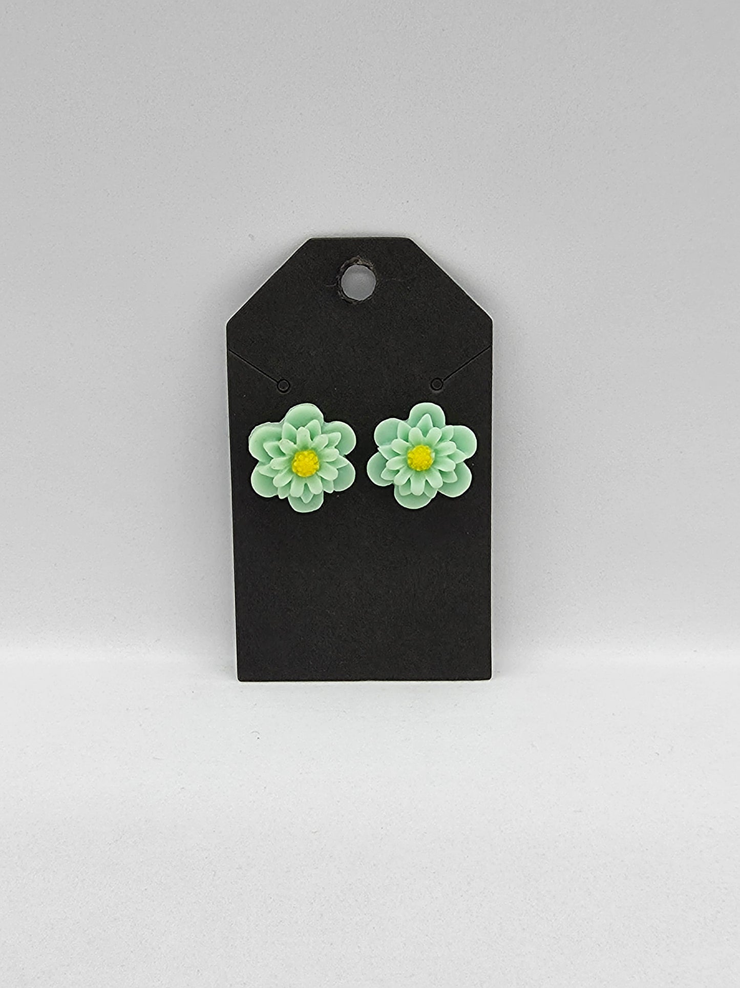 PUSAB Small Earrings