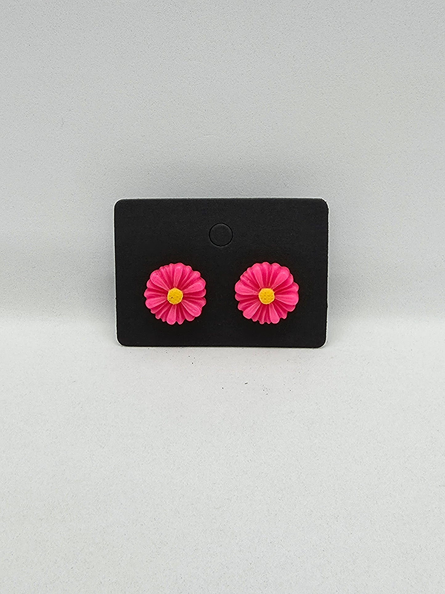 PUSAB Small Earrings